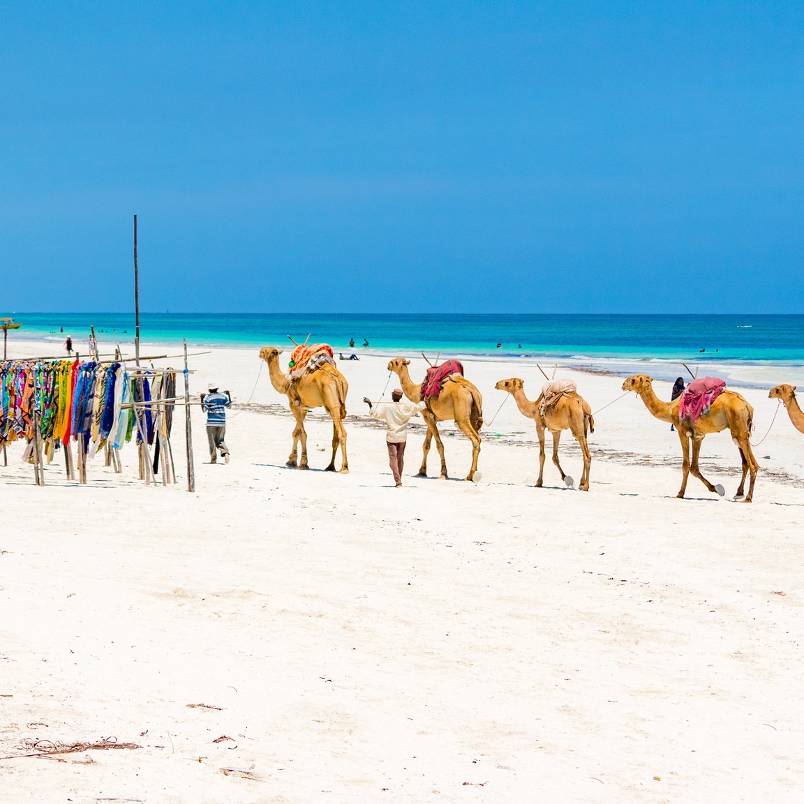 Diani Beach Vacation